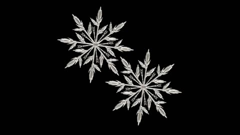 The Physical Follows the eMotional