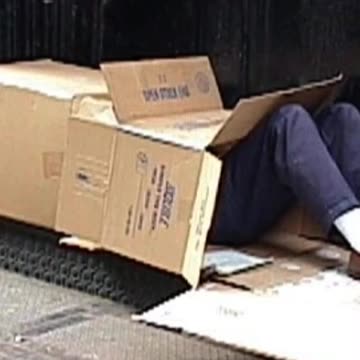 WHEN YOU LIVE IN A CARDBOARD BOX