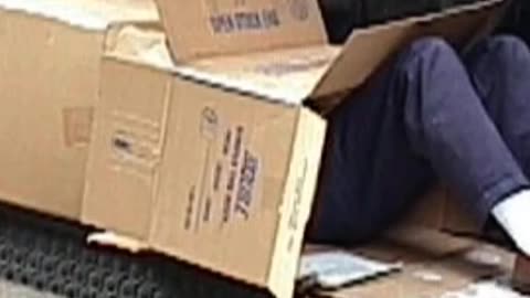 WHEN YOU LIVE IN A CARDBOARD BOX