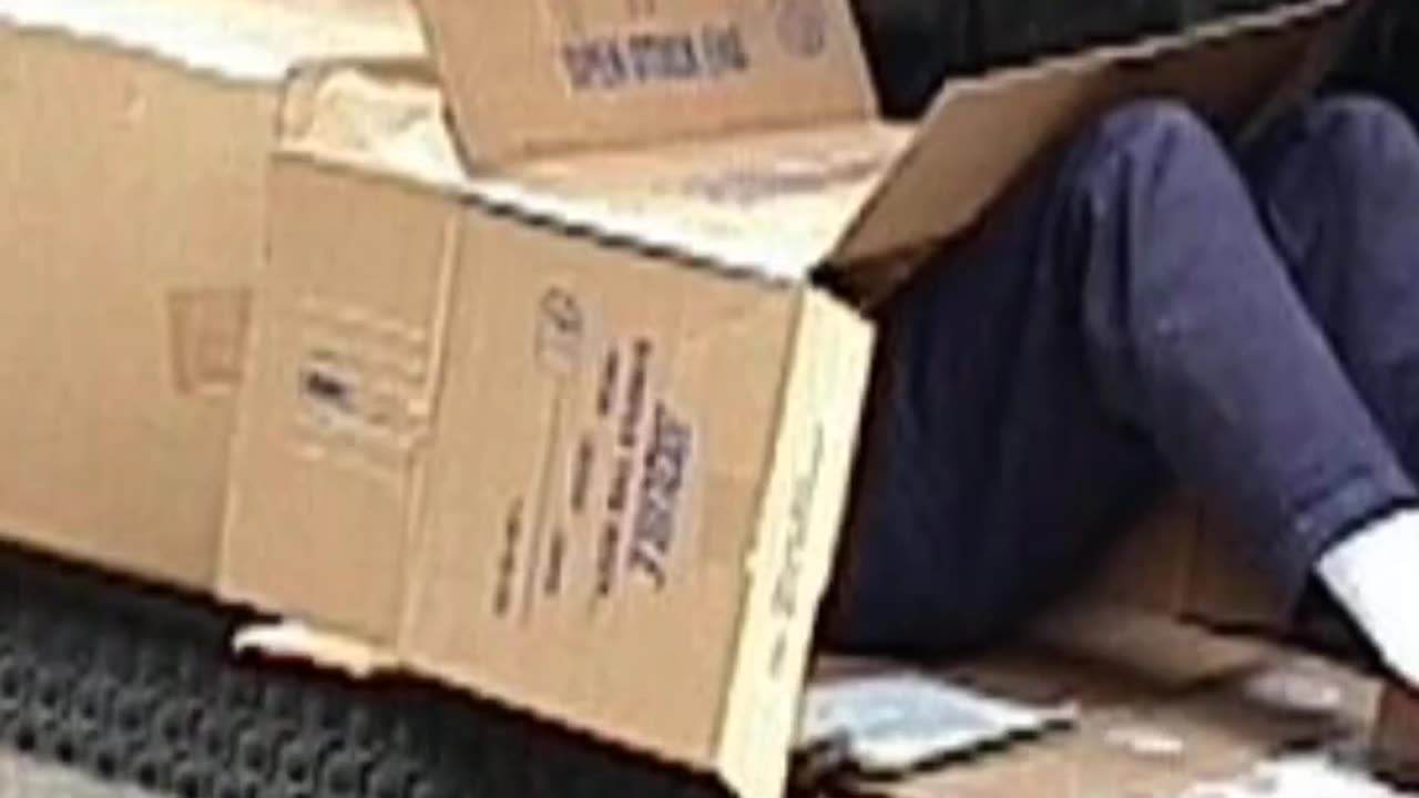 WHEN YOU LIVE IN A CARDBOARD BOX