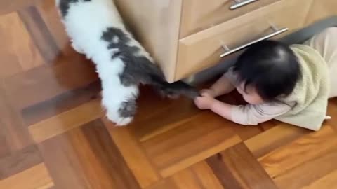 Both baby and cat are having fun