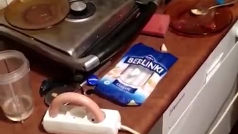 Polish culinary technologies