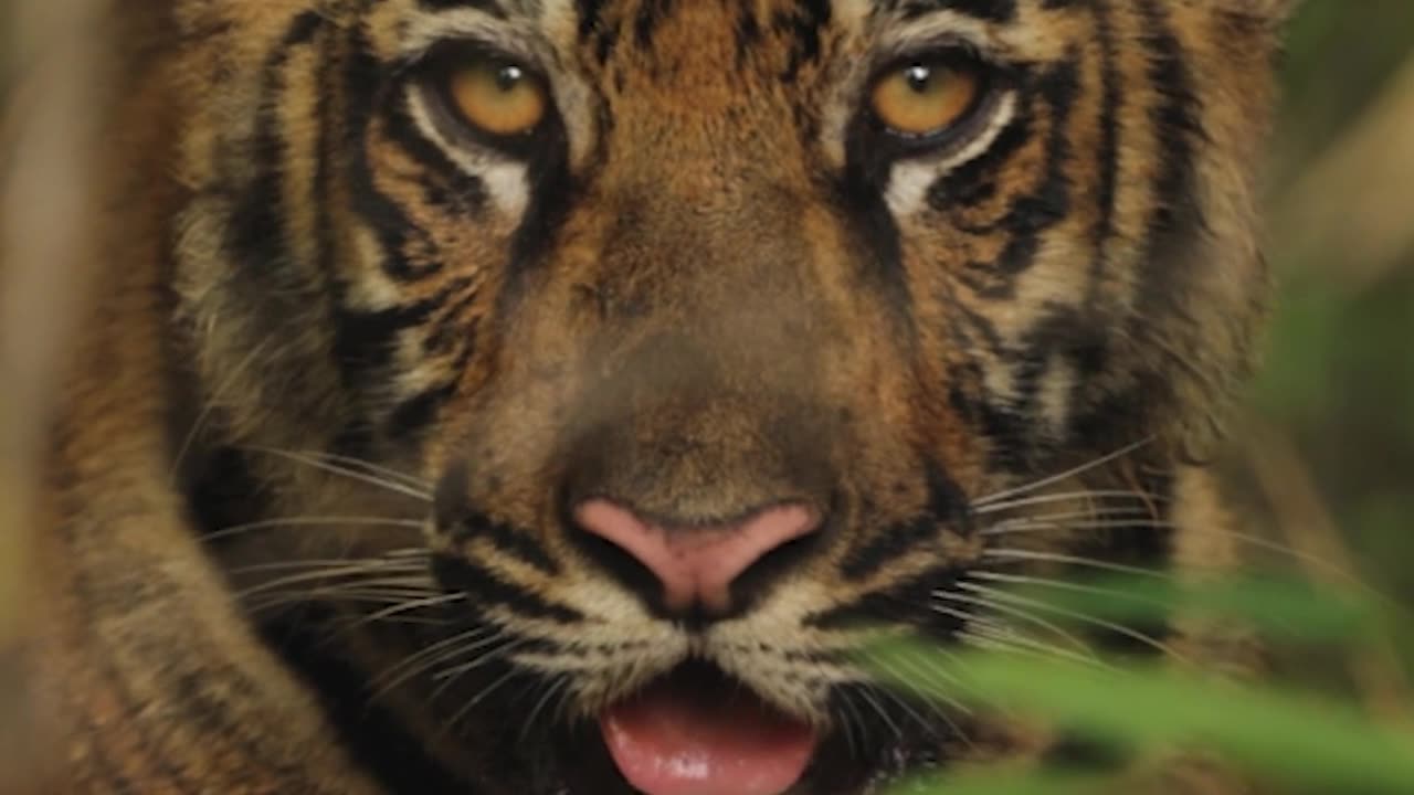 Open Your Eyes To the Truth