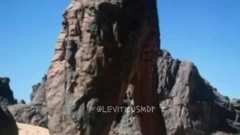 Petrified Creatures of the Past