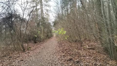 wszystko ... po coś ...