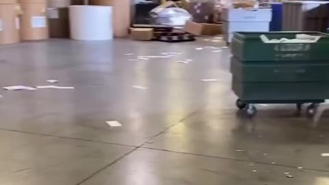 Fired Crash Out