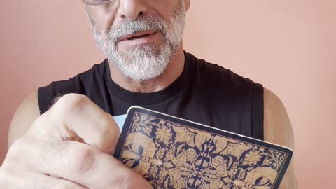 "Mud maggot exposed" Tarot Vibes Nov. 5th 2025 Love Light & Joy Tarot by Adam Keith