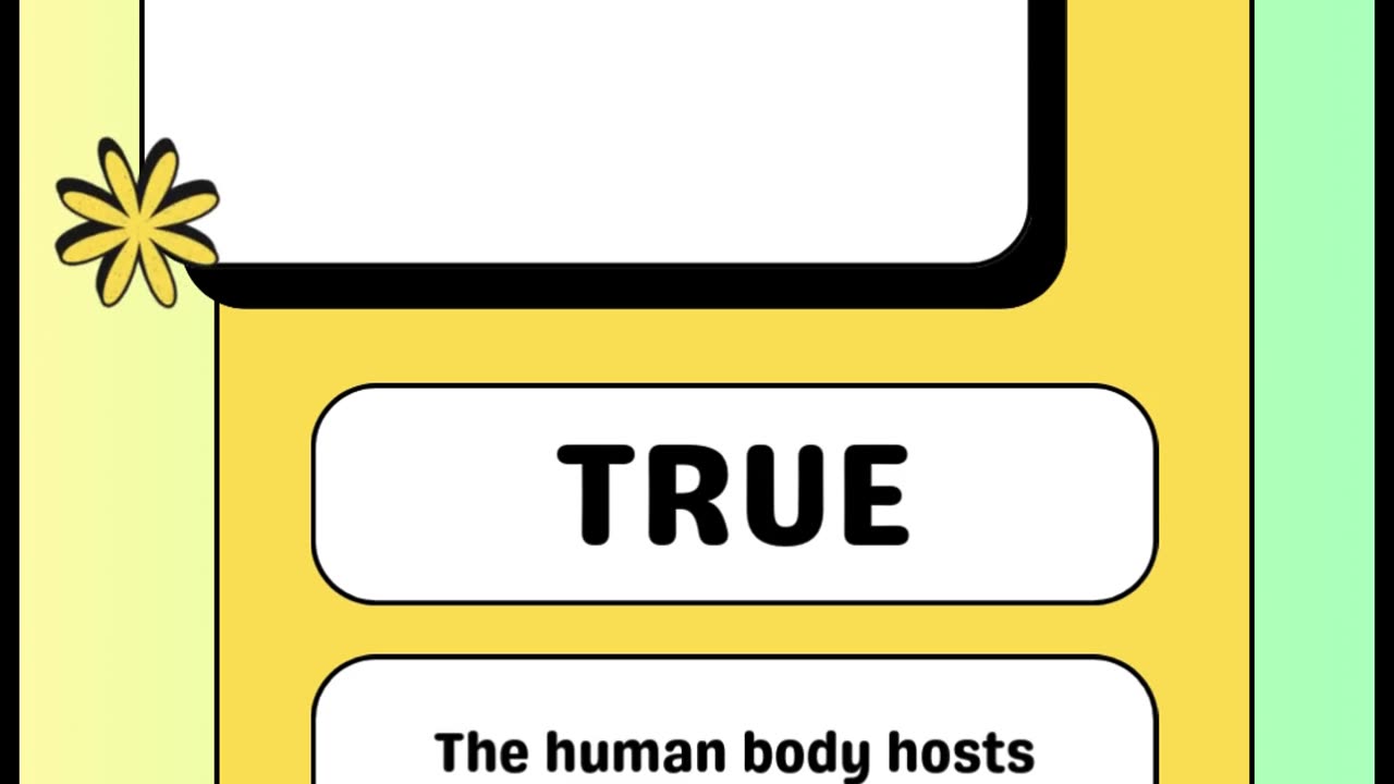 Quick True or False Quiz ⚡ | How Many Can You Get Right?