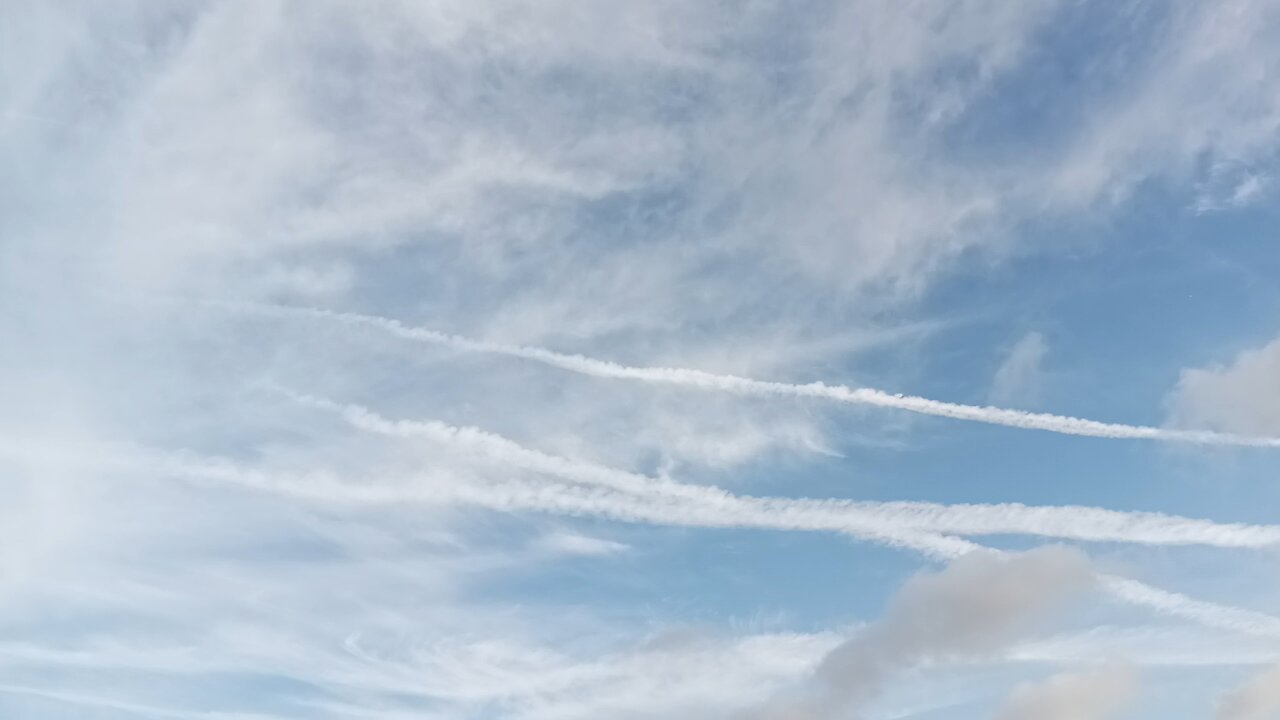 "Know your place and get back to work"