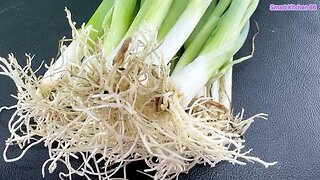 How to Preserve Green Onions for 1 YEAR – No Spoilage, No Freezer Needed!