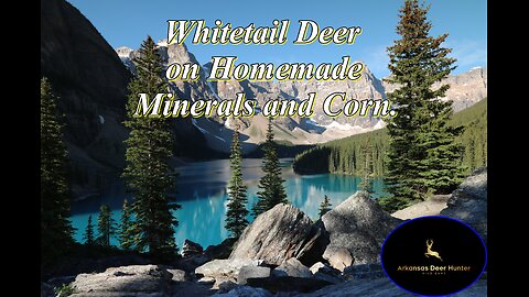 Whitetail Deer on Homemade Mineral Mix and Corn