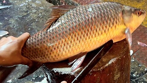 Amazing Fish cutting skill 04| you must watch