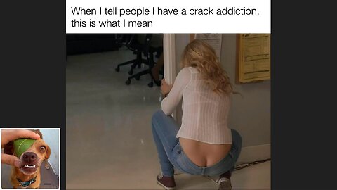 Memes That Will 99.0331% Make You Laugh. (e555)