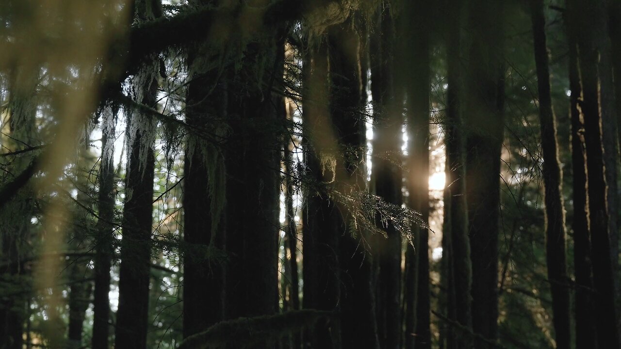 just feel the atmosphere