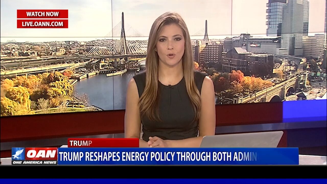 🐾 Non-Profit Paws of War is Transforming Lives for Veterans