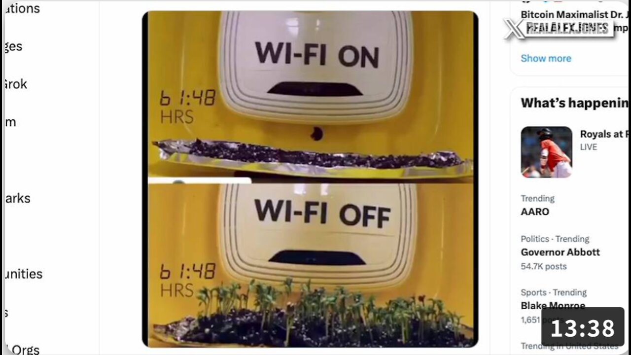 See Total Video Proof That 5G / WIFI Kills Plants Animals And Humans