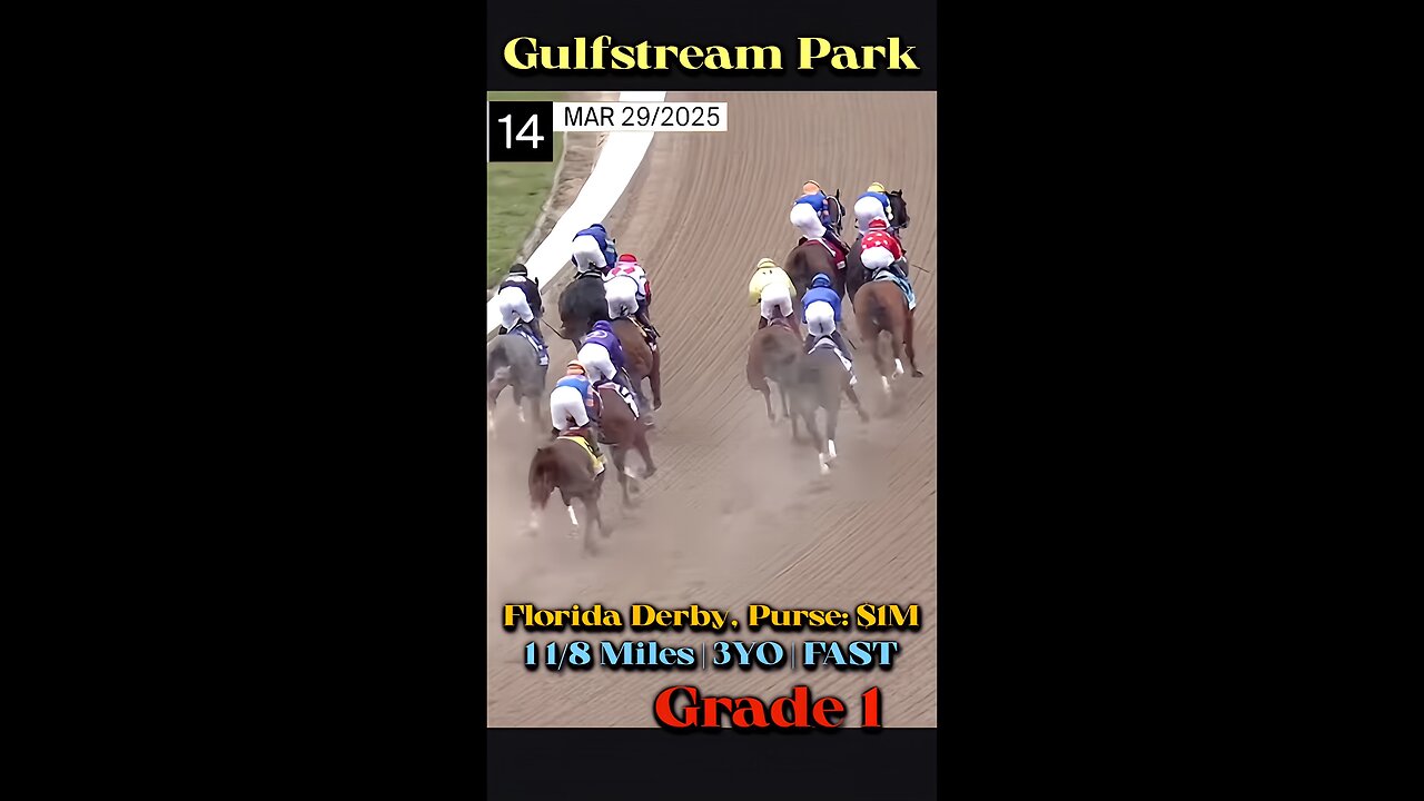 Florida Derby Shorty