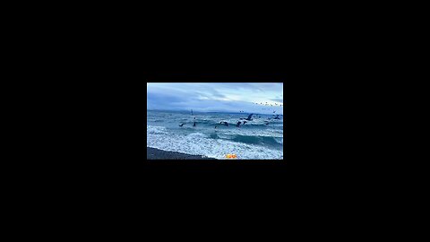 #foryoupage#viralvideo