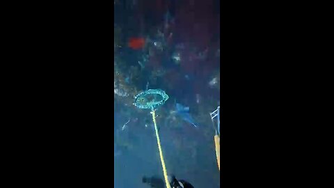 amazing scenery in the blue ocean beauty #shortsvideo #viralvideo #trandingvideo #remblevideo