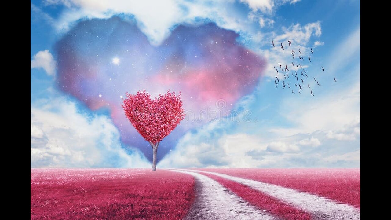 The heart's shape tree