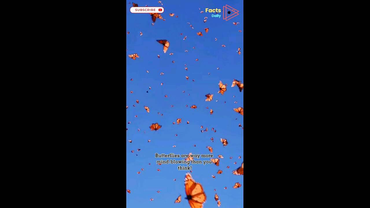 Butterflies Are More Mind-Blowing Than You Think! 🦋🔥