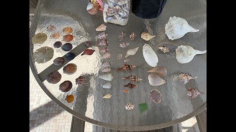 Beach Finds 11/21/2025 | 4K