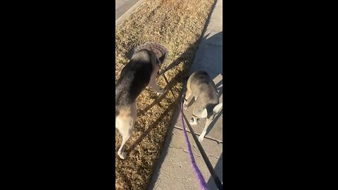 What you need to understand