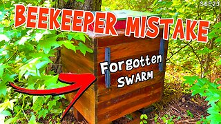 Neglected NUC & Swarm Trap | Tying up loose ends before harvest |