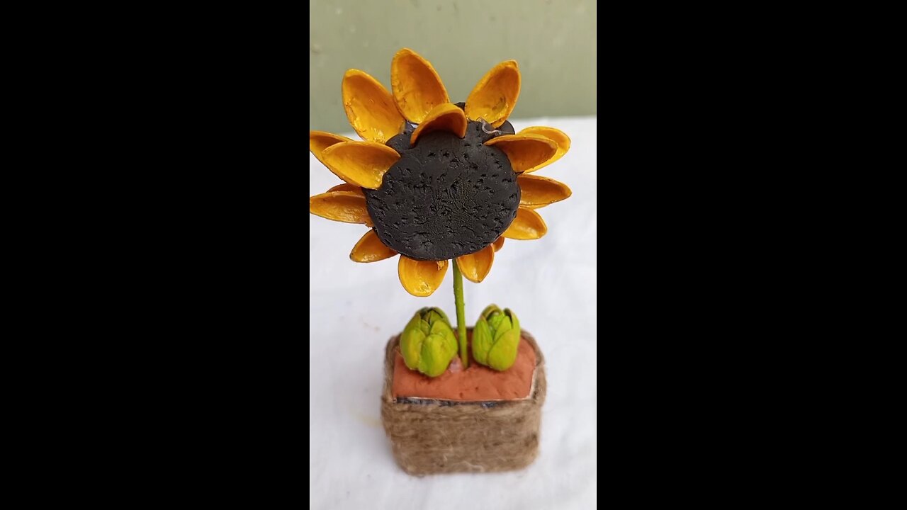 Pistashell Craft
