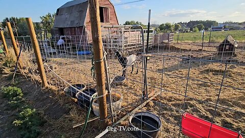 Graham Family Farm NW: 7:30 PM July 17 2025