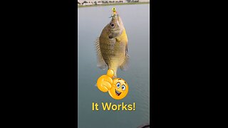Wow, did not know how good this Micro Lure was... #ultralightfishing #bfsfishing #fishing