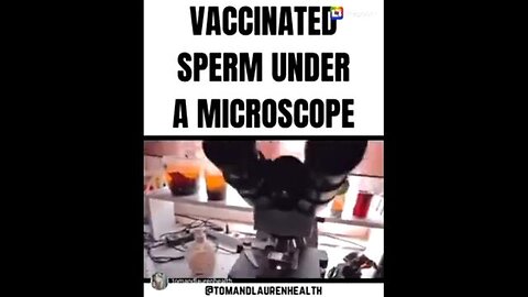 Vaccinated Sperm Under a Microscrope