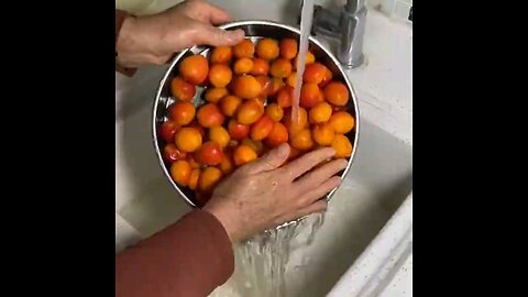 مربى المشمش apricot jam