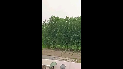 satisfying Video