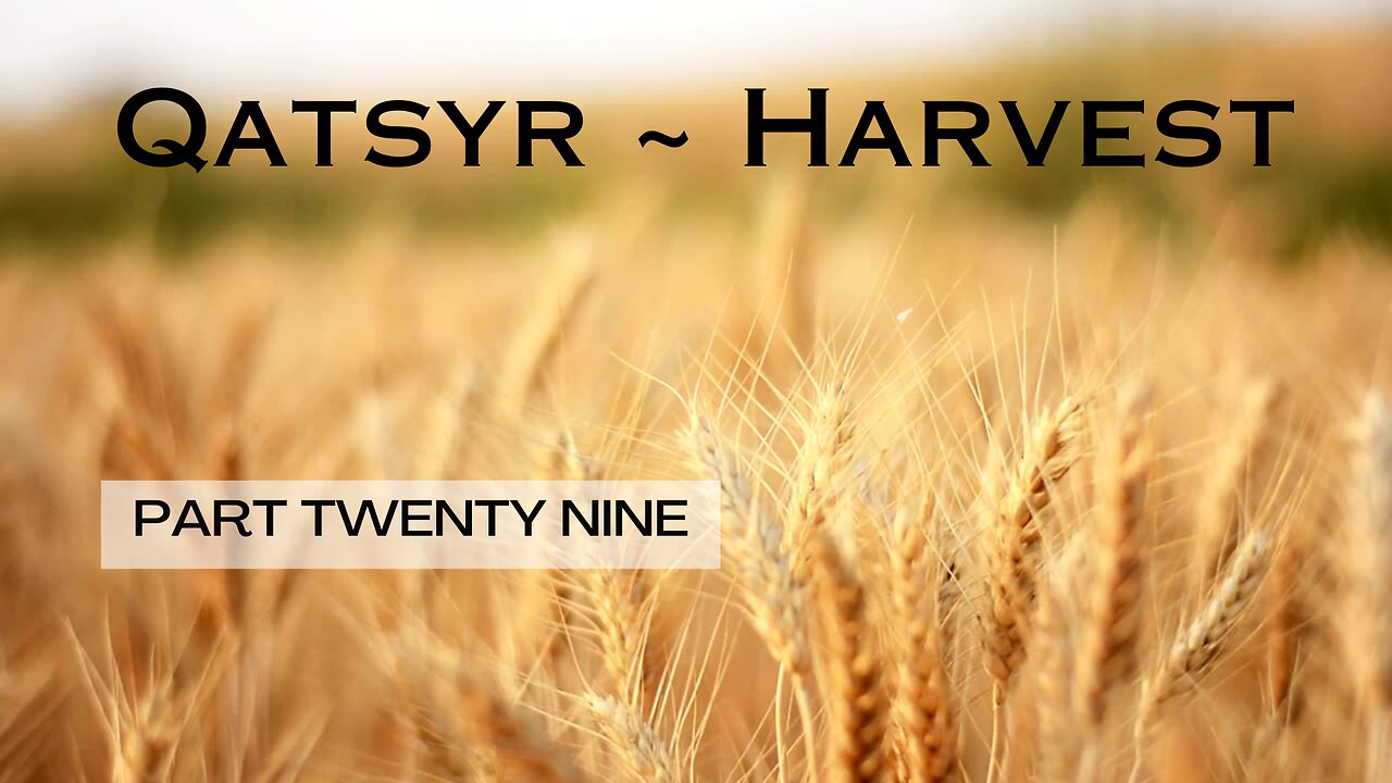 Qatsyr ~ Harvest Part Twenty Nine 13 March 2025