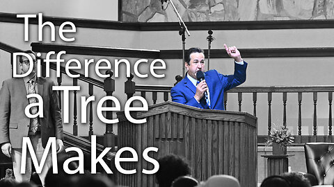 The Difference a Tree Makes