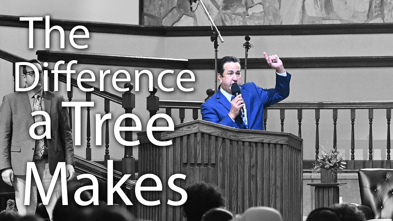 The Difference a Tree Makes