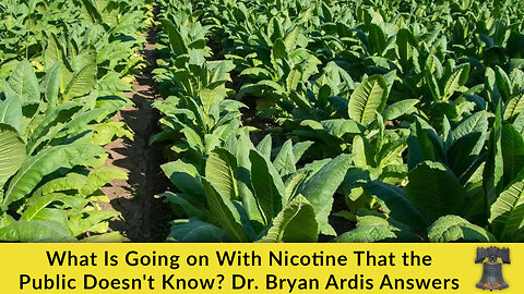 What Is Going on With Nicotine That the Public Doesn't Know? Dr. Bryan Ardis Answers