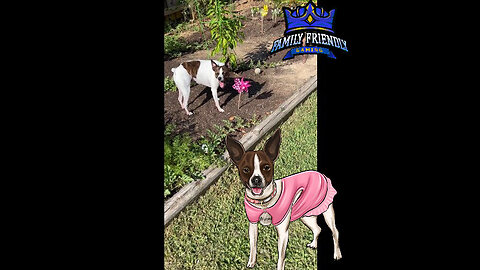 Princess Plays with Spinner