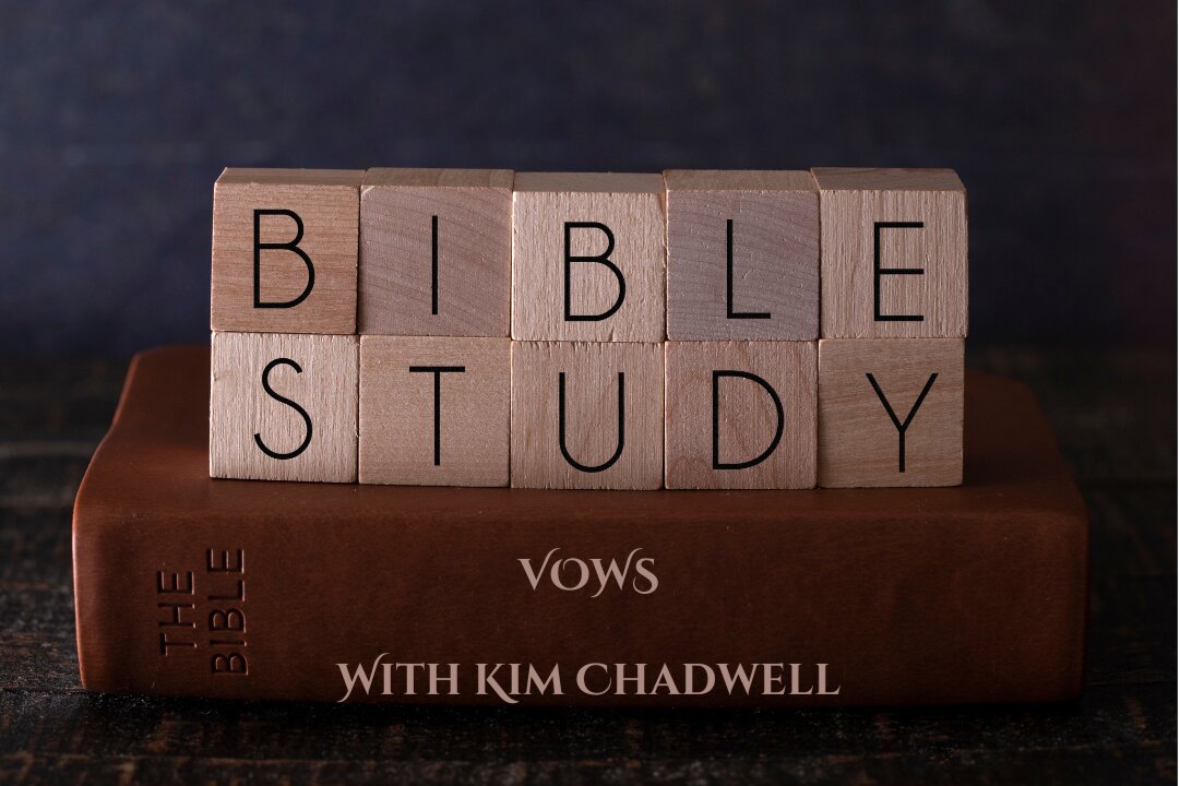 Vows - Numbers Chapter 30