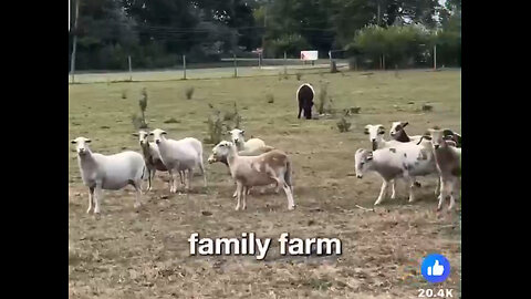 Why is the government trying to take this farm?