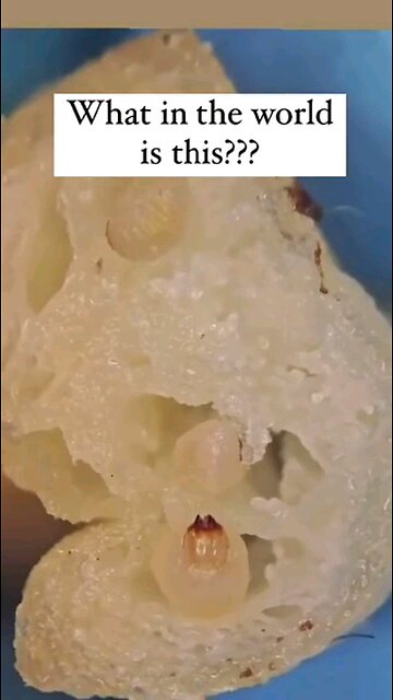 Parasites Found Present In McDonald's Fries