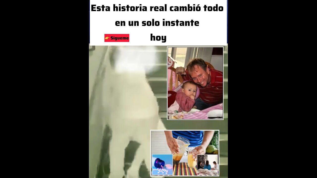Esta historia real cambió todo en un solo instante hoy