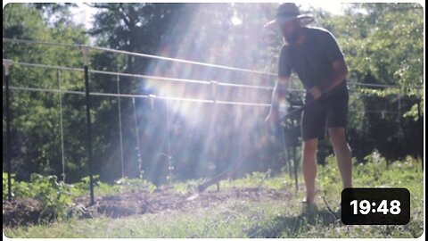 Transform Bad Soil into an Instant Garden: Start Gardening Today!