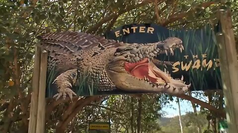 Vet Removes 3 TEETH That Got Trapped In Crocs Mouth |Bondi Vet