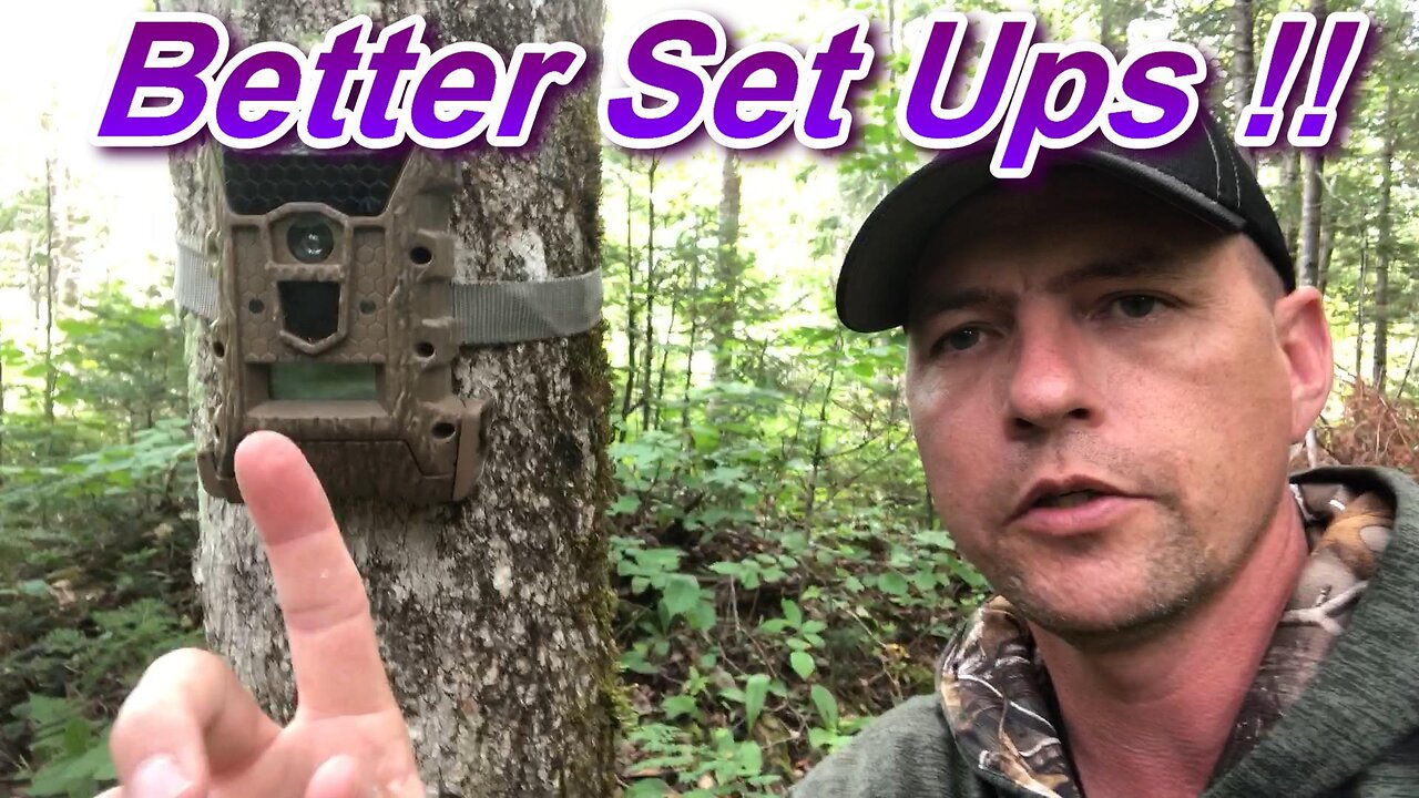 5 Best Tips for Trail Cam Set Up