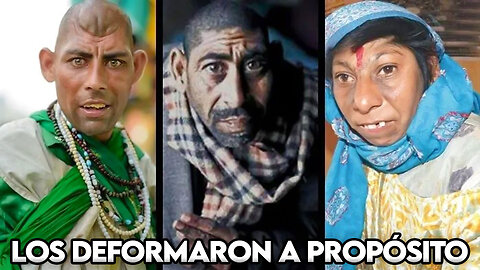 La verdad de los NIÑOS RATA