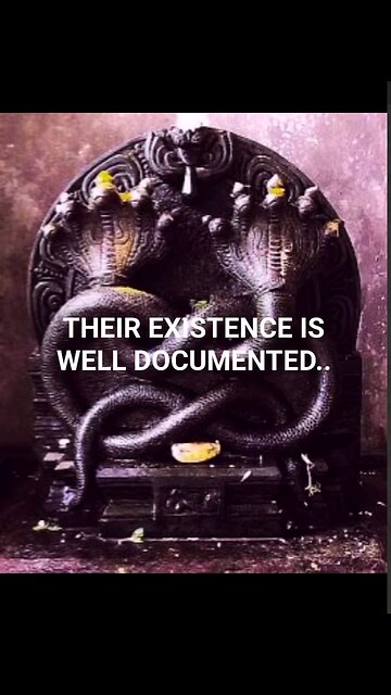 They are living among us hiding behind fluid crystal hologram technology 🐉🦎