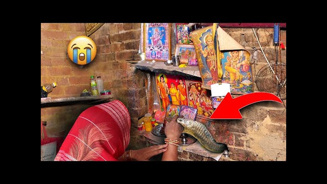 "Deadly Snake Enters Home: Panic as Women and Children Spot It | Snake Rescue Operation
