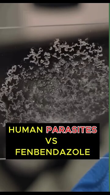 Ivermectin kills parasites